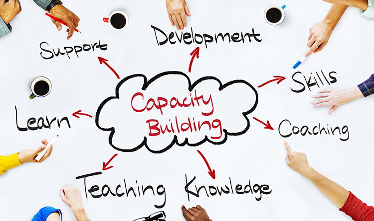 Training and Capacity Building